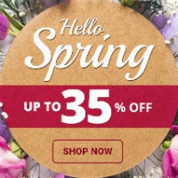 Upto 35% OFF on Spring Deals Orders