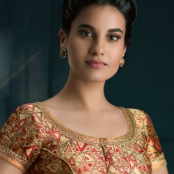 From ₹ 900 on Designer Saree Blouses Orders