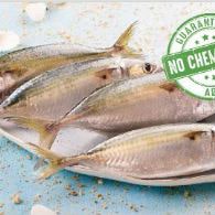 FreshToHome: Upto 40% OFF on Fish & Seafood Orders