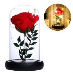 Tomtop: Flat 52% OFF on Simulation Rose Flower Glass Cover LED String Light Home Night Light Decoration