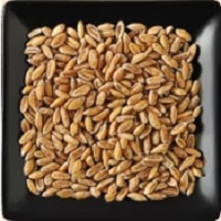 Pleasant Hill Grain: Get up to 10% OFF on Grains & Foods