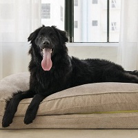 Coop: Get up to 40% OFF on Pet Beds