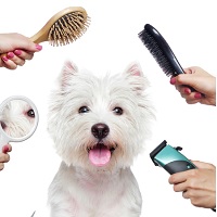 Home Grooming: Up to 20% OFF