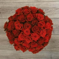 Rosaholics: Up to 30% OFF on Selected Roses