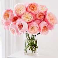 Rosaholics: Up to 50% OFF on Selected Bouquets