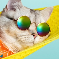 Uahpet: Cat Products: Up to 30% OFF