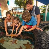 Delphinus: Interactive Aquarium Cancun from $ 16
