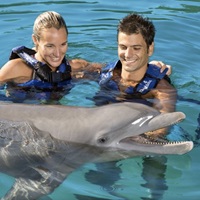 Delphinus: Get Couples Package from $ 139