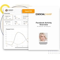 Social Champ: Monitoring Analytics: Up to 20% OFF