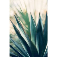 Zozulu: Get up to 20% OFF on Artwork