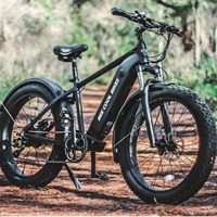 Beecool Bikes: Up to 50% OFF on Selected City Ebikes