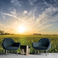 Pizzello: Patio Dining Sets: Up to 40% OFF