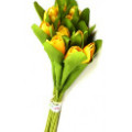 Pay from ₹ 90 with Flower Stems & Bunches Orders