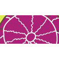 Get 5% off Orders for New Customers