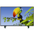 Get 20% off Koryo KLE32ELBH LED TV Orders