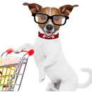 DogSpot: Get up to 75% off PET SALE Orders