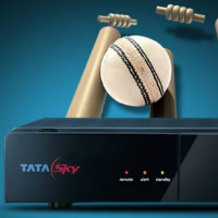 Tata Sky: Get Flat ₹ 705 off Cricket Season New Connection HD Orders