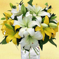 India Flower Mall: Starting at ₹ 450 off FRESH FLOWERS Orders