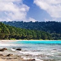 From ₹ 11,784 on Andaman Holidays Package Bookings Orders