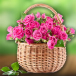 GiftMyEmotions: Signify Purity, Innocence & Love OFF on Roses & Flowers Orders