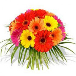Flaberry: From ₹ 399 on Beautiful Flowers Orders