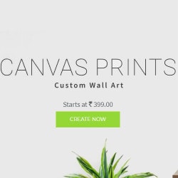 Zoomin: From ₹ 599 on Custom Canvas Wall Prints !