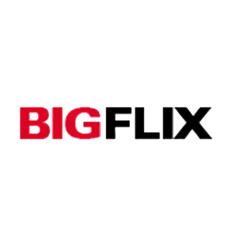 BIGFlix Coupons