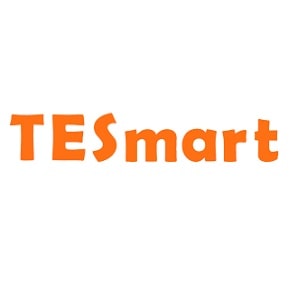 TESmart DE Coupons